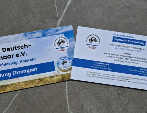 Die doppelte Bühne